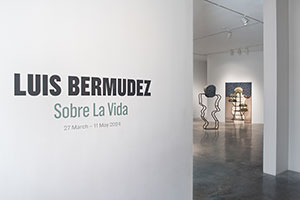 Installation photography, Luis Bermudez: Sobre la Vida