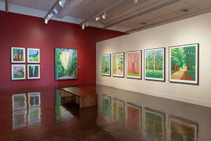 Installation photography / 
David Hockney: Perspective Should Be Reversed / 
Prints from the Collections of Jordan D. Schnitzer and His Family Foundation / 
Photo credit: Honolulu Museum of Art