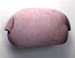 Peter Shelton / 
pinkloaf, 1999 - 2000 / 
mixed media / 
28 x 49 x 23 in (71.12 x 124.46 x 58.42 cm)
