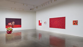 Installation photography, RED