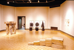 David Nash / Joslyn Art Museum / installation photography, 1994