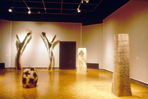 David Nash / Joslyn Art Museum / installation photography, 1994