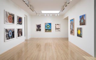 Installation photography / 
Don Suggs: Paradise