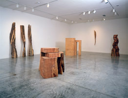 David Nash installation photography, 1997