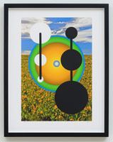 Don Suggs / 
Flower Field Pend, 2016 / 
archival digital print on Museo Max paper / 17 x 22 in. (43.2 x 55.9 cm) / 
Framed Dimensions: 18 1/4 x 23 1/4 x 1 3/4 in. (46.4 x 59.1 x 4.4 cm) / 
Edition 1 of 7
