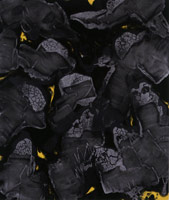 Goth, 2002 / 
acrylic on canvas / 
78 x 66 in (198.1 x 167.6 cm) / 