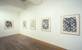 Ed Moses installation photography, 1989 