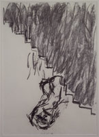 Untitled (14.VII), 1985 / 
charcoal on paper / 
Paper: 23 3/4 x 33 1/2 in (60.3 x 85.1 cm) / 
Framed: 40 3/4 x 31 in (103.5 x 78.7 cm) / 
Private collection