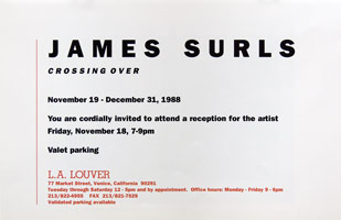 James Surls announcement, 1988