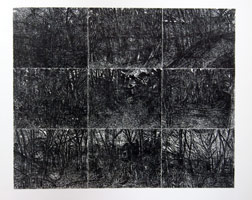Landscape No. 28, 1985 - 86 / 
ink,shellac,gouache,acrylic on board / 
75 x 91 1/2 in (190.5 x 232.4 cm)