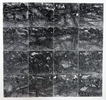 Landscape No. 30, 1985 - 86 / 
pencil charcoal shellac black ink white / 
61 3/8 x 58 1/4 in (156 x 148 cm)