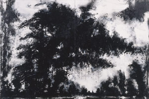 Landscape No. 619, 2002 / 
acrylic, shellac, black ink on canvas / 
96 x 72 in (243.8 x 182.9 cm) each / 
96 x 144 in (243.8 x 365.8 cm) overall (diptych) / 
Private collection
