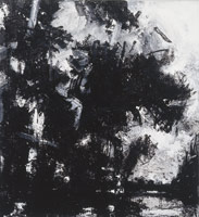 Landscape No. 648, 2002 / 
acrylic, shellac, black ink on canvas / 
78 x 72 in (198.11 x 182.9 cm) / 
Private collection