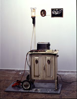Edward & Nancy Reddin Kienholz / 
Useful Art No. 2 (cabinet & toaster), 1992 / 
mixed media assemblage / 
62 x 42 x 18 in (157.5 x 106.7 x 45.7 cm)