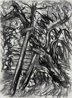 Cherry Tree, Winter, 2008 / 
      charcoal on paper  / 
      29.72 x 22.05 in. (75.5 x 56 cm)  / 
      framed: 33.19 x 25.51 in. (84.3 x 64.8 cm) / 
      Private collection 