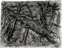 Cherry Tree with House, 2007 / 
      charcoal on paper / 
      19.76 x 25.94 in. (50.2 x 65.9 cm)