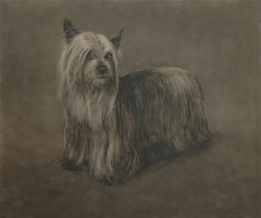 Untitled (MB36) (Yorkshire Terrier), 1991 / 
oil on steel / 
Object: 18 x 23 in (45.7 x 58.4 cm) / 
Framed: 28 x 33  x 4 in (71.1 x 83.8 x 10.2 cm)