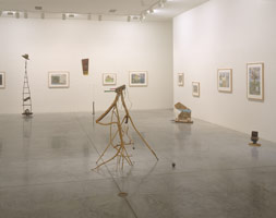 William T. Wiley installation photography, 2000