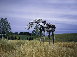 Essence: The Horses of Deborah Butterfield