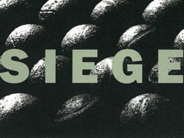 Michael C. McMillen: Siege