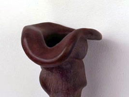 Peter Shelton: handbones and thingsicanthrow