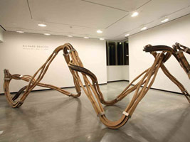 Richard Deacon:<BR>Dead Leg