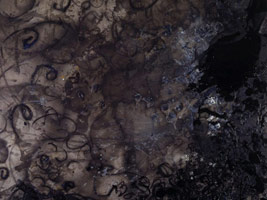 New Paintings