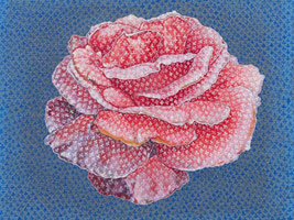 Tom Wudl: <BR>Specimens from the Flowerbank World