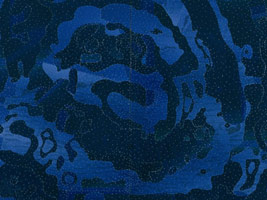Tony Berlant: Extended Ecstasy