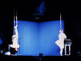 No Earth/No Earth Station Performance 