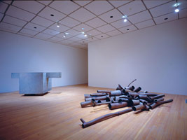 bagBOXTUBtubesandpipes.<BR>Peter Shelton Installation and Related Works
