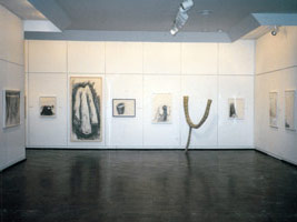 Peter Shelton: Drawings and Sculptures