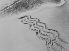 Sculpture & Drawings