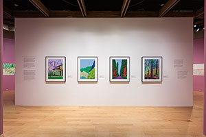 Installation photography / 
David Hockney: Perspective Should Be Reversed / 
Prints from the Collections of Jordan D. Schnitzer and His Family Foundation / 
Photo credit: Palm Springs Art Museum