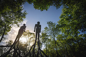 Alison Saar / 
Tree Souls, 1994-2024 / 
bronze / 
192 x 252 x 108 in. (487.7 x 640.1 x 274.3 cm) / 
Installed at Freedom Monument Sculpture Park, Montgomery, AL, 2024 / 
Collection Equal Justice Initiative (EJI) / 
Images courtesy of EJI