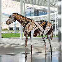 Deborah Butterfield / 
John, 1984 / 
Found steel, welded / 
82 x 88 x 32 in / 
The Fine Arts Collection, Jan Shrem and Maria Manetti Shrem Museum of Art, Gift of Edward Nicoll and Helen Kent-Nicoll / 
© 2023 Deborah Butterfield / 
Licensed by VAGA at Artists Rights Society (ARS), NY / 
Photo: Muzi Rowe