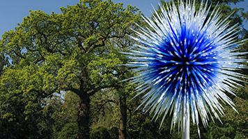 Chihuly at Kew / 
Reflections on Nature / 
Kew Royal Botanical Gardens / 
London, England