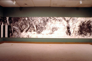 Don Suggs / LACMA installation photography, 1989