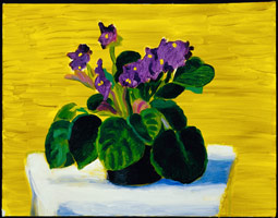 Bridlington Violets, 1989 / 
oil on canvas / 
14 x 18 in (35.6 x 45.7 cm)