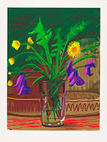 David Hockney / 
Dandelions, 2011 / 
iPad drawing printed on paper / 
image: 32 x 24 in. (81.3 x 61 cm) / 
sheet: 37 x 28 in. (94 x 71.1 cm) / 
Edition of 25