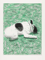 David Hockney / 
Moujik, 2010 / 
iPad drawing printed on paper / 
image: 32 x 24 in. (81.3 x 61 cm) / 
sheet: 37 x 28 in. (94 x 71.1 cm) / 
Edition of 25