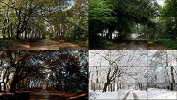 David Hockney / 
The Four Seasons, Woldgate Woods (Spring 2011, Summer 2010, Autumn 2010, Winter 2010), 2010-2011 / 
36 digital videos synchronized and presented on 36 55-inch monitors to comprise a single artwork / 
81 x 574 in (205.74 x 1457.96 cm) / 
Duration: 4:21 / 
© David Hockney / 
Photo credit: Jean-Pierre Gonçalves de Lima