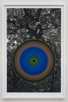 Don Suggs / 
Garden (Mucalinda), 2011 / 
archival inkjet print on Crane Museo Max paper / 
44 x 29 in. (111.8 x 73.7 cm)  / 
framed: 45 x 30 in. (114.3 x 76.2 cm)  / 
Edition 1 of 3