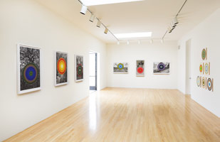 Installation photography / 
Don Suggs: Thermal Pool Paintings and Paradise Prints 