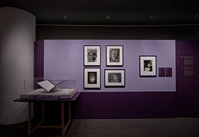 Installation view of $3 Bill: Evidence of Queer Lives (June 10–September 28, 2025), Getty Research Institute, Los Angeles. Photo: © J. Paul Getty Trust
 