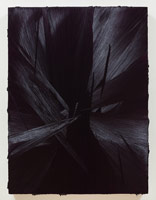 Jason Martin  / 
Caruso, 2012 / 
oil on aluminum / 
47 1/4 x 35 3/8 in. (120 x 90 cm) 