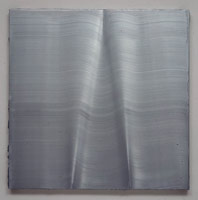 Jason Martin / 
Virus, 1999 / 
acrylic on aluminum / 
59 x 59 x 2 3/4 in (150 x 150 x 7 cm) / 
Private collection