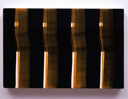 In Galizano, 2000 / 
vinyl, dispersion, dried pigment / 
12 x 18 in (31 x 46 cm)