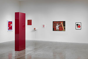 Installation photography, RED 