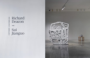 Installation photography, Richard Deacon and Sui Jianguo